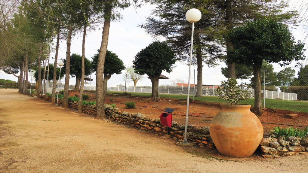 Paseo Arbolado en el Club Deportivo y Cultural Las Tinajas
