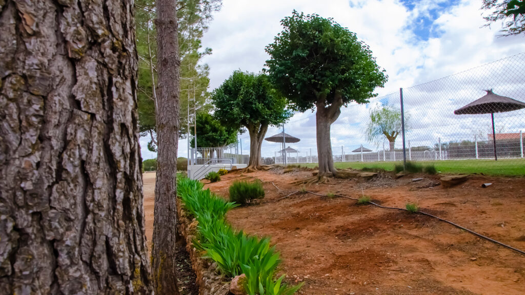 Zona de paseo Club Las Tinajas