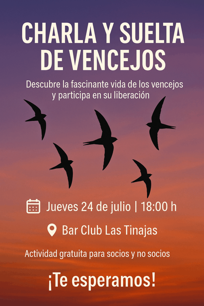 file_0000000091486243bd9b252b7d8fdc54