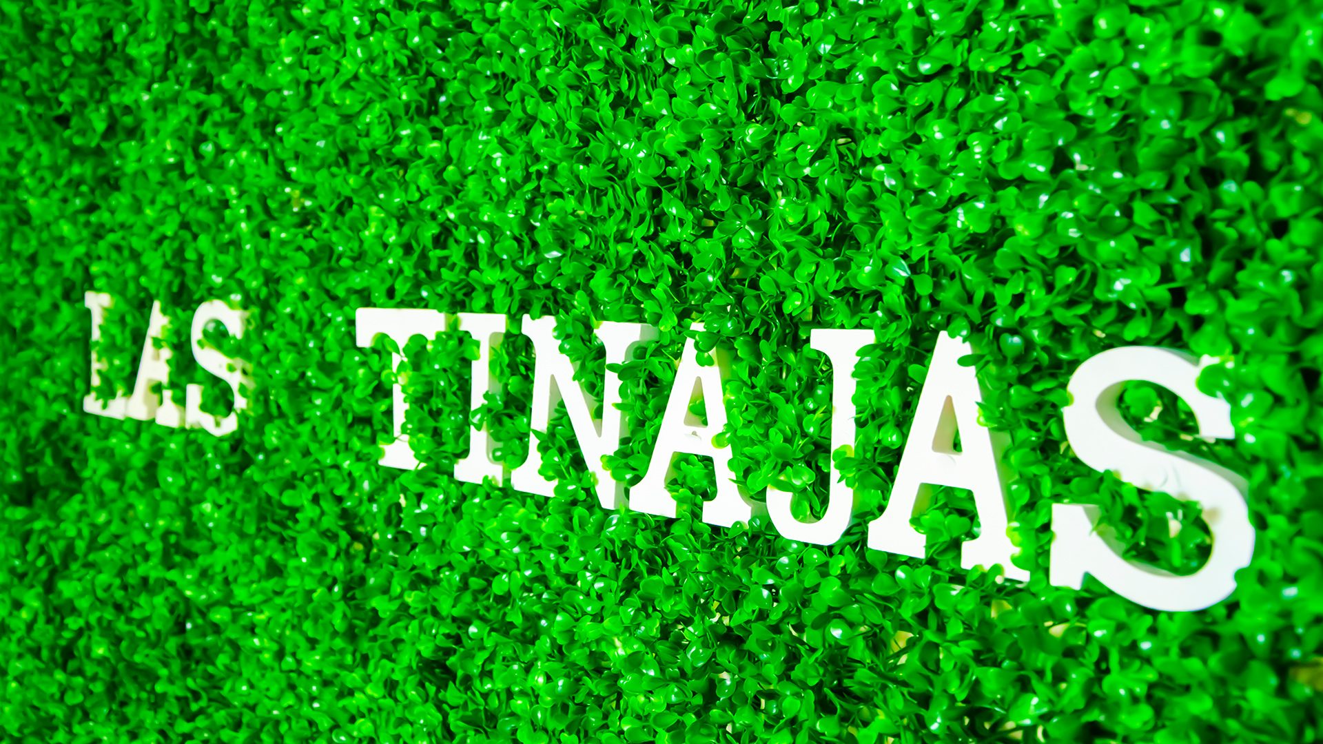 Nombre Club Las Tinajas sobre fondo vegetalnombre-club-fondo-vegetal-las-tinajas Detalle del nombre del Club Deportivo y Cultural "Las Tinajas" en letras blancas sobre un fondo vegetal decorativo verde intenso.