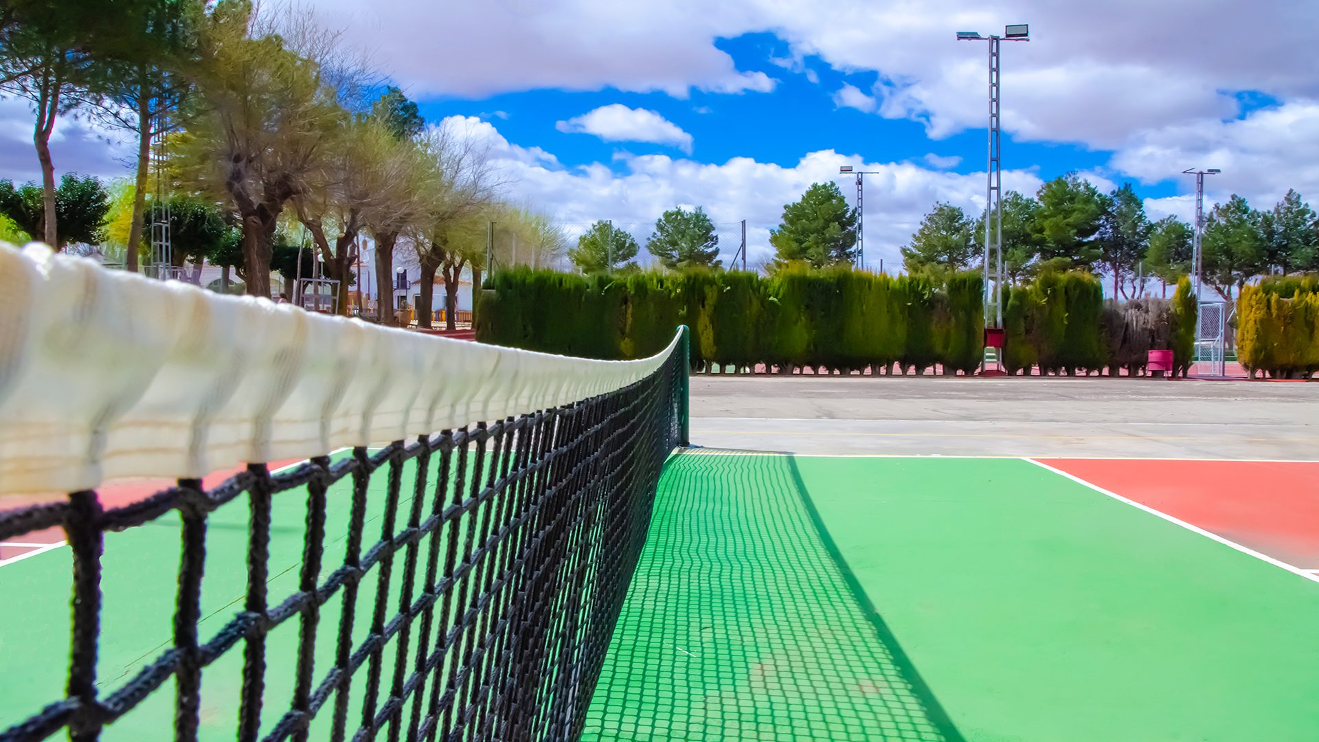 Detalle red pista pickleball Detalle Red
