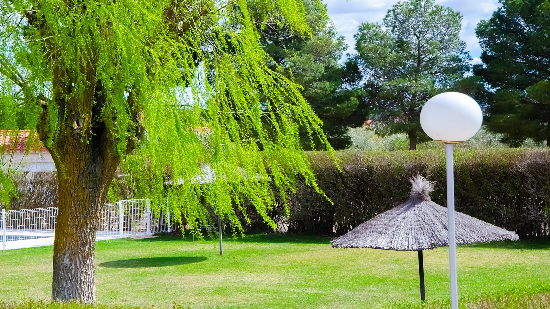 Área verde ajardinada del Club Deportivo y Cultural "Las Tinajas", con árboles frondosos, césped cuidado, sombrilla de paja natural y farola decorativa, ideal para relajarse al aire libre.